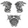 Geflügelter Drachen Conchos