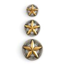 3D Texas Stern Conchos