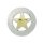 Texas Gold Stern Concho 30 mm