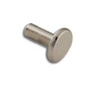 Röhrenförmige Nieten 8 mm Nickel