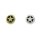 Kleine Stern Conchos