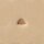 F895 Stempel Bildprägung
