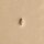 F902 Stempel Bildprägung