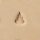 F926 Stempel Bildprägung