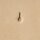 H908 Stempel Stopp