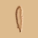 K597 2D Stempel Feder
