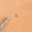 S348 Craftool Stempel Saatkorn