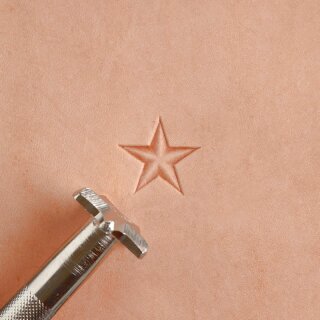 2D Stempel Stern Groß Z785