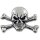 Skull & Crossbones Concho