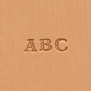 Fancy Alphabet Stempel Set