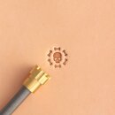 Witch Skull Messing Stempel